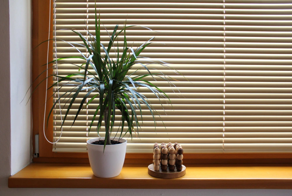 window blinds
